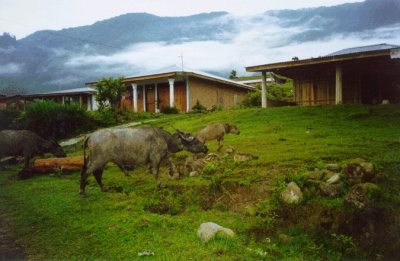 Samosir Village